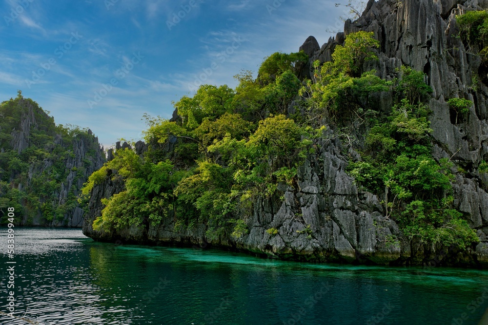 Majestic rocks in Coron, Palawan in the Philippines that are overgrown with shrubs and rise out of the water.