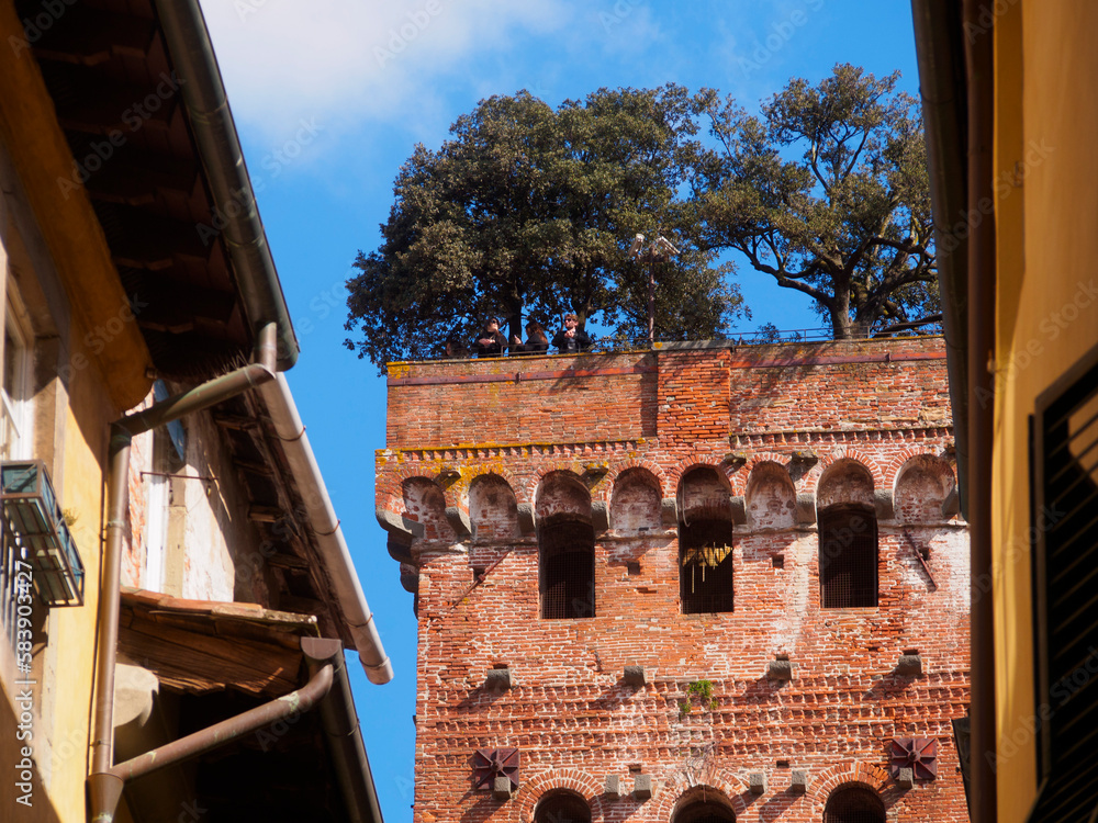 Fototapeta premium Italia, Toscana, la città di Lucca. La torre Guinigi.