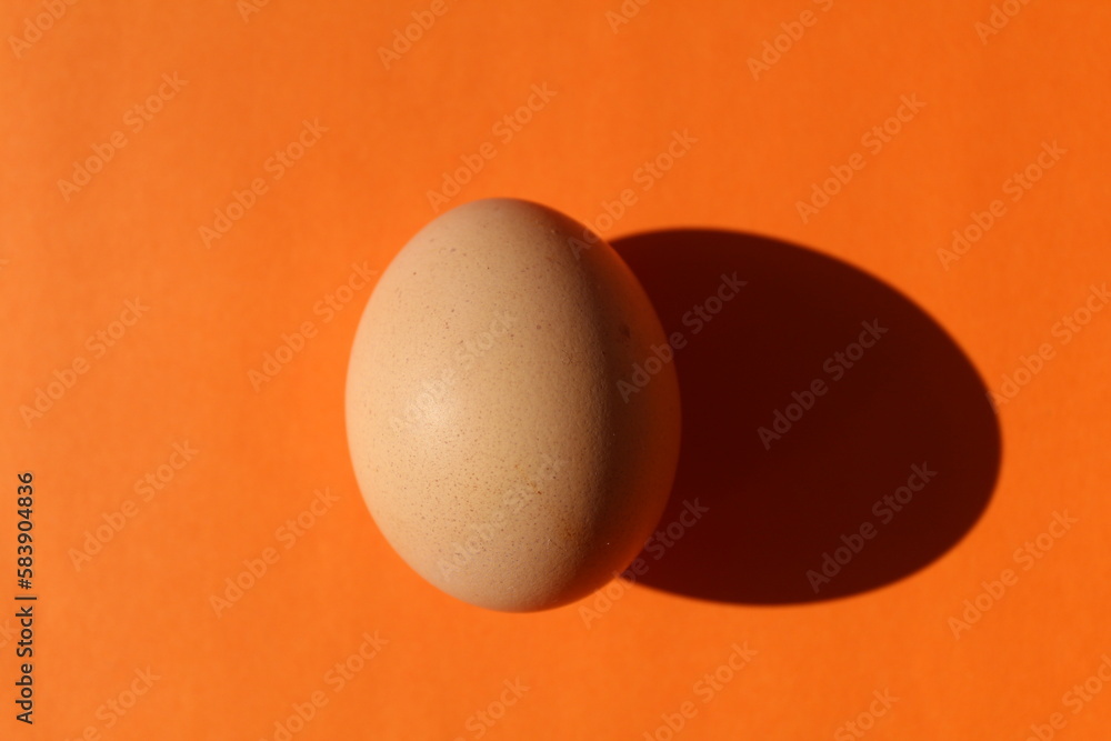 Egg isolated on orange background with shadow