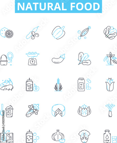 Natural food vector line icons set. Organic, Whole, Unprocessed, Fresh, Plant-based, Local, Vegan illustration outline concept symbols and signs