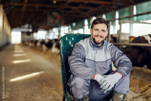 Papier peint Portrait of a happy farmer keeping cows in a barn while smiling at the camera