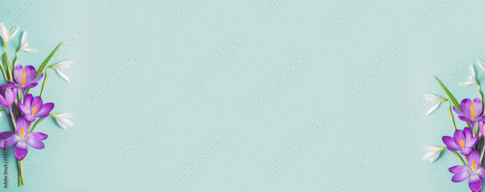 Flowers composition. Saffron flowers and snowdrops on a blue background. Flat lay, top view, copy space. Wind banner. Flowers composition. Saffron flowers and snowdrops on a blue background. Flat lay, top view, copy space. Wind banner.