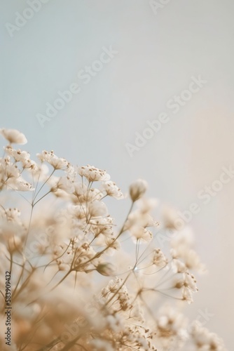 Baby gypsophila breath flowers. Generative Ai © hellozeto studio