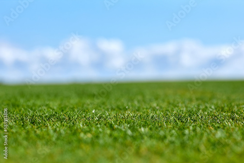 Close up background image of green grass golf field with blue sky, tilt shift effect