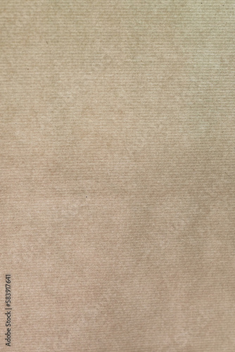 Texture of laid brownish recycled paper in vertical format