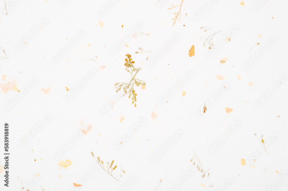 The Mulberry paper texture as background