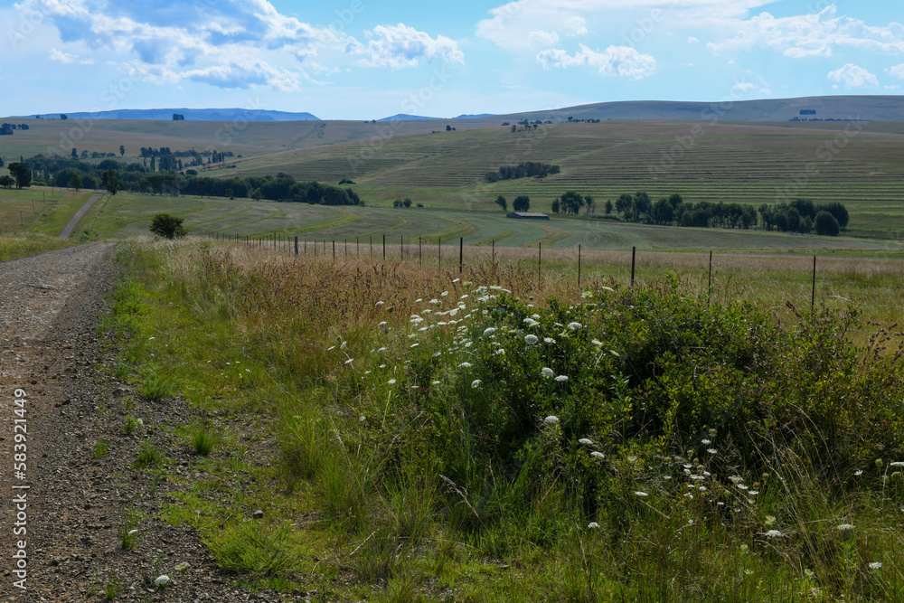Landscape on the countryside near Hogsback, South Africa