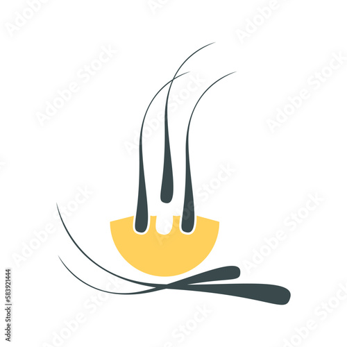 Hair transplant follicle grafts icon. Alopecia treatment for medical diagnostic centers and clinics. Baldness concept. Vector illustration.