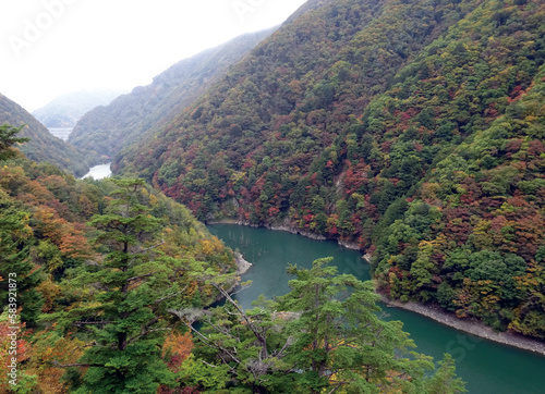 紅葉が始まった山々とダム湖