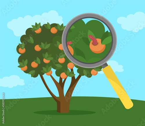 Fruit tree with insects vector illustration. Big magnifier showing worms in oranges or tangerines in garden. Insect infestations, trees in danger, climate change, agriculture concept