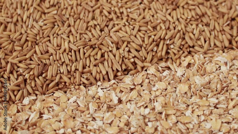 Oat grains and oat flakes. Rotation. Raw dry organic whole grain oatmeal. Useful healthy breakfast for energy. High fiber content. Autumn harvest of grain. Healthy eating. Top view. Oat groats. Oat grains and oat flakes. Rotation. Raw dry organic whole grain oatmeal. Useful healthy breakfast for energy. High fiber content. Autumn harvest of grain. Healthy eating. Top view. Oat groats.