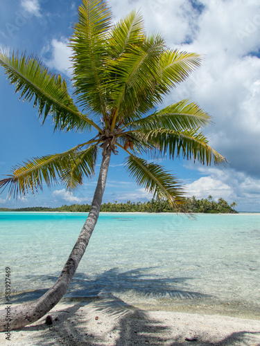 Lone solo palm tree on the Blue Lagoon beach at Rangiroa Atoll, French Polynesia, in the South Pacific