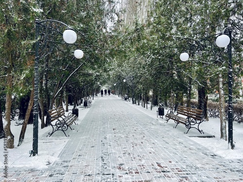 winter park at freezing cold day. Walking path in city park with bare trees covered with white snow. Wintry landscape