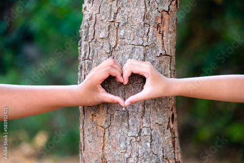 Closeup hands of a boy and a girl join together to make a heart sign on the tree trunk in the forest