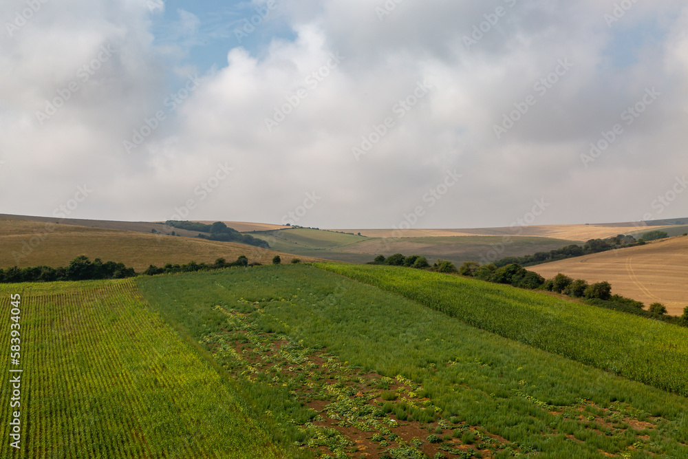 Obraz premium A rural Sussex farm landscape