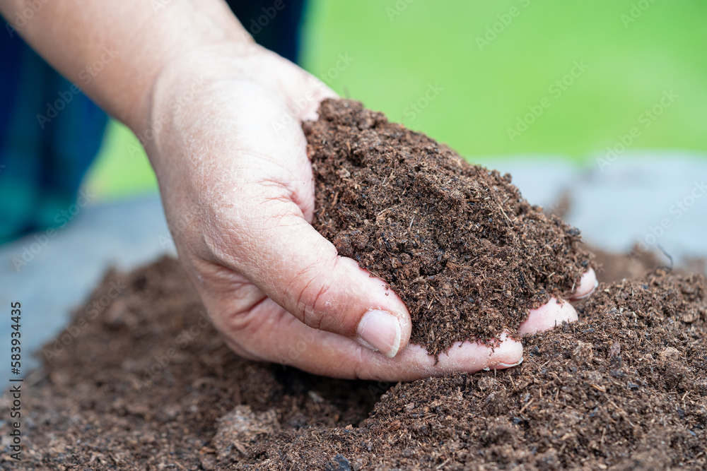 Hand holding peat moss organic matter improve soil for agriculture organic plant growing, ecology concept. Hand holding peat moss organic matter improve soil for agriculture organic plant growing, ecology concept.