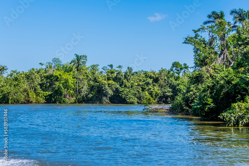 A view toward a junction of the Belize River in Belize on a sunny day