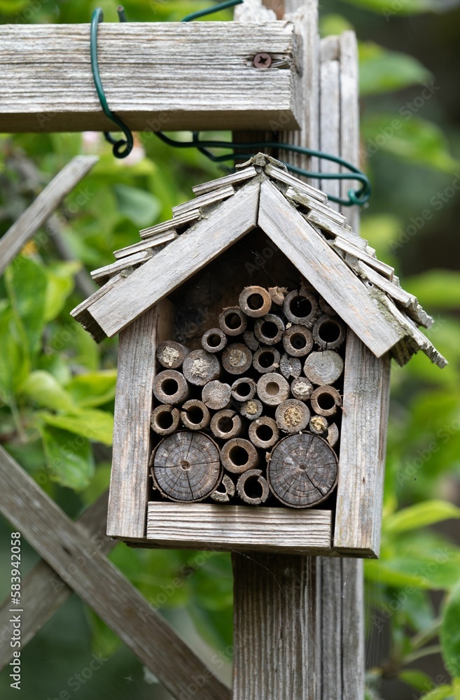 Vertical shot of bamboo and a wooden handmade bee house in a garden Vertical shot of bamboo and a wooden handmade bee house in a garden