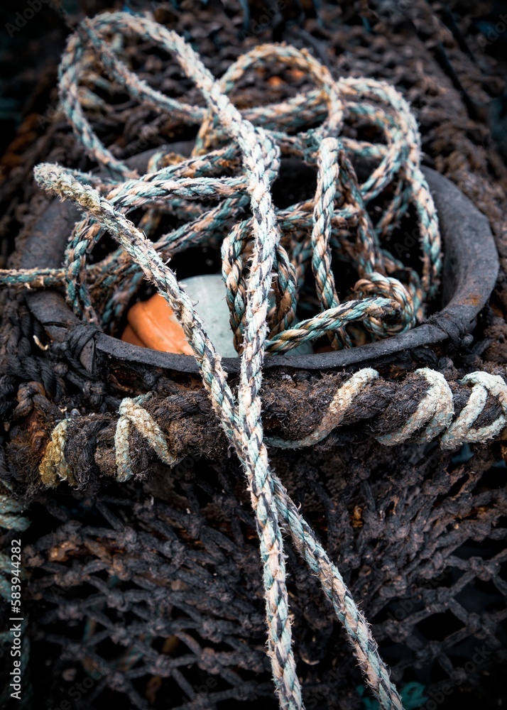 Closeup shot of ropes on the entrance funnel of a lobster pot