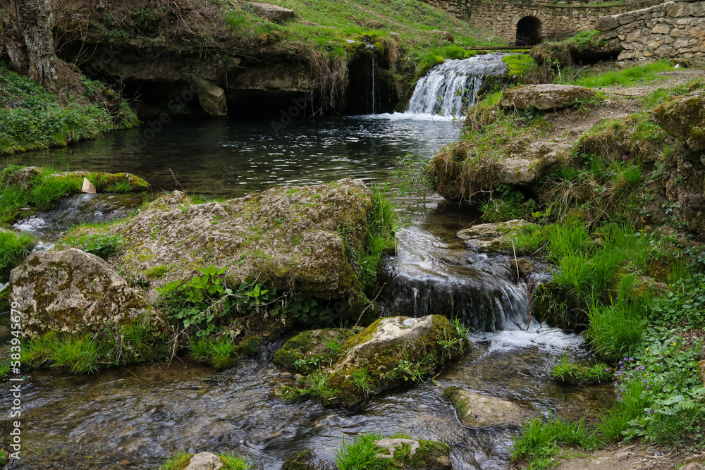 A small waterfall in the forest. Bright juicy greens and splashes of water. A quiet and peaceful place for family holidays