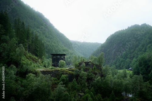 Beautiful shot of the lush green trees on mountains in Sauda, Norway