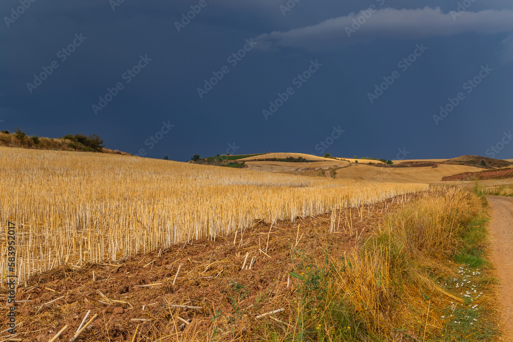 Rural landscape in the spanish countryside