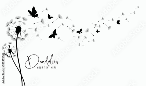 Fototapeta Naklejka Na Ścianę i Meble -  Dandelion with flying butterflies and seeds, vector illustration