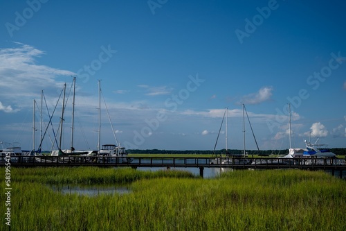 Scenic view of yatch moored and green grasses on the swapy dock