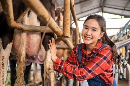 Asian young professional woman dairy farmer milking the cow in cowshed livestock farm industry.