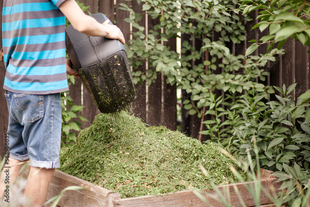 Throwing Compost Gardener Throwing Grass from Lawn Mower into Compost Bin. Recycling ...