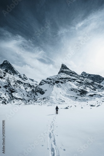 Highlander walking alone in the pristine snow of Swiss mountains to the Mont Mine © Frédéric Sabalette/Wirestock Creators
