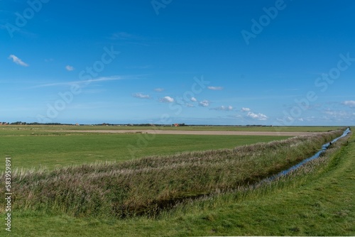 Scenic view of an open field found in Ameland located in the Netherlands
