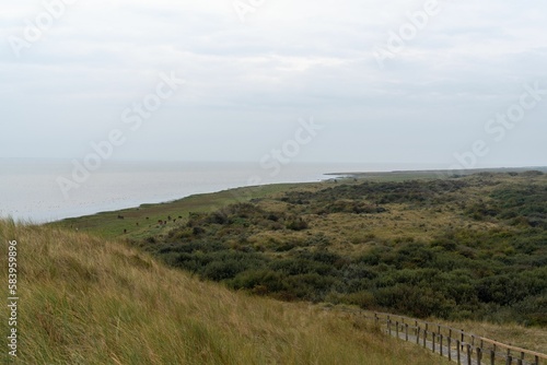 Scenic view of a beautiful landscape seen in Ameland located in the Netherlands