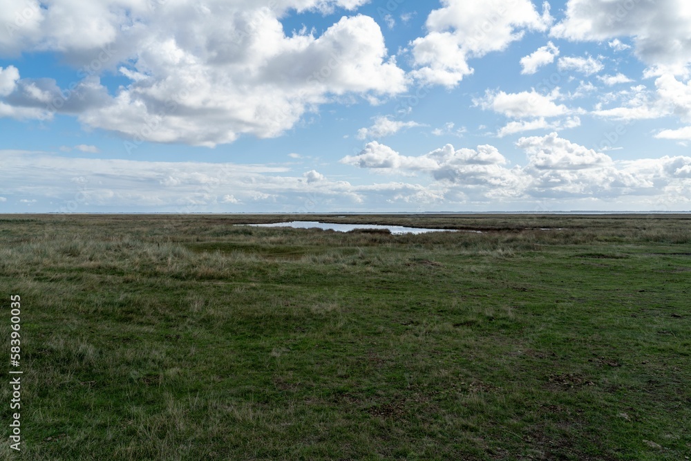 Scenic view of a beautiful landscape with meadows and a pond found in Schiermonnikoog, Netherlands