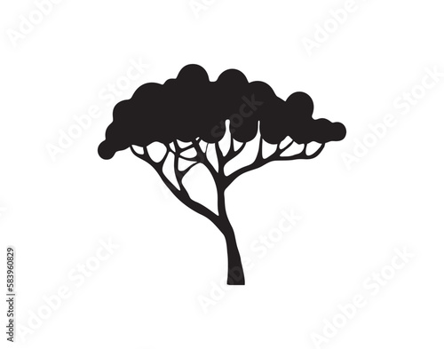 acacia tree vector silhouette, isolated on white