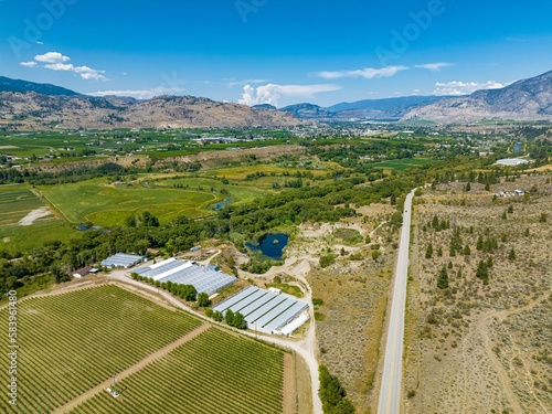 Картината върху платно Aerial view  of vineyards in town Oliver, British Columbia, Canada with valley a