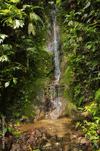 Small waterfall at the hiking track to the waterfall Cascada Reina in Minjoy Park in Mindo  Ecuador  South America 