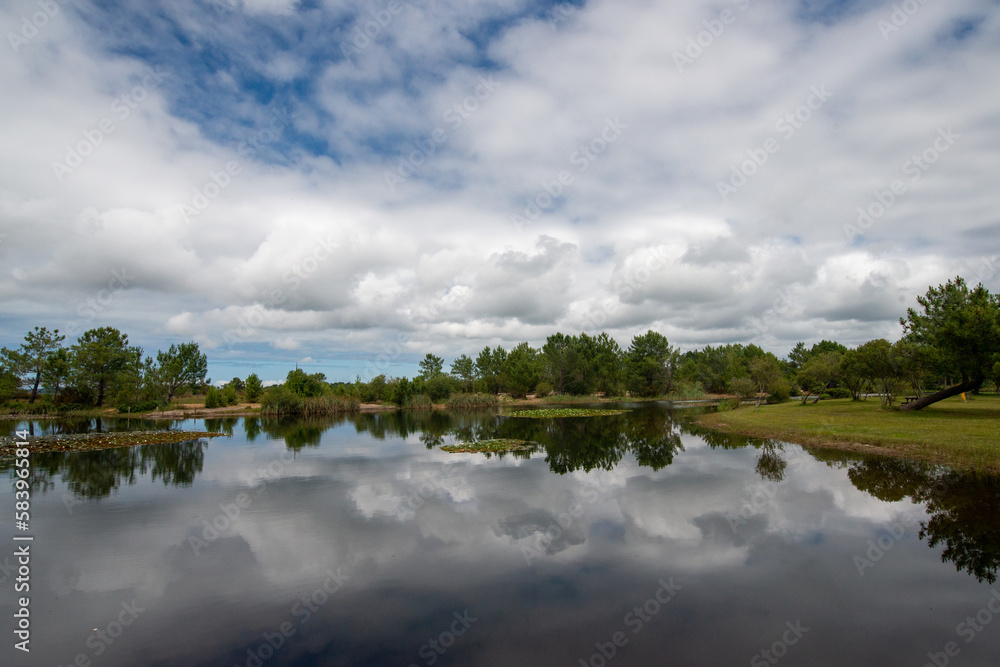 Obraz premium reflets sur le lac d'Hourtin