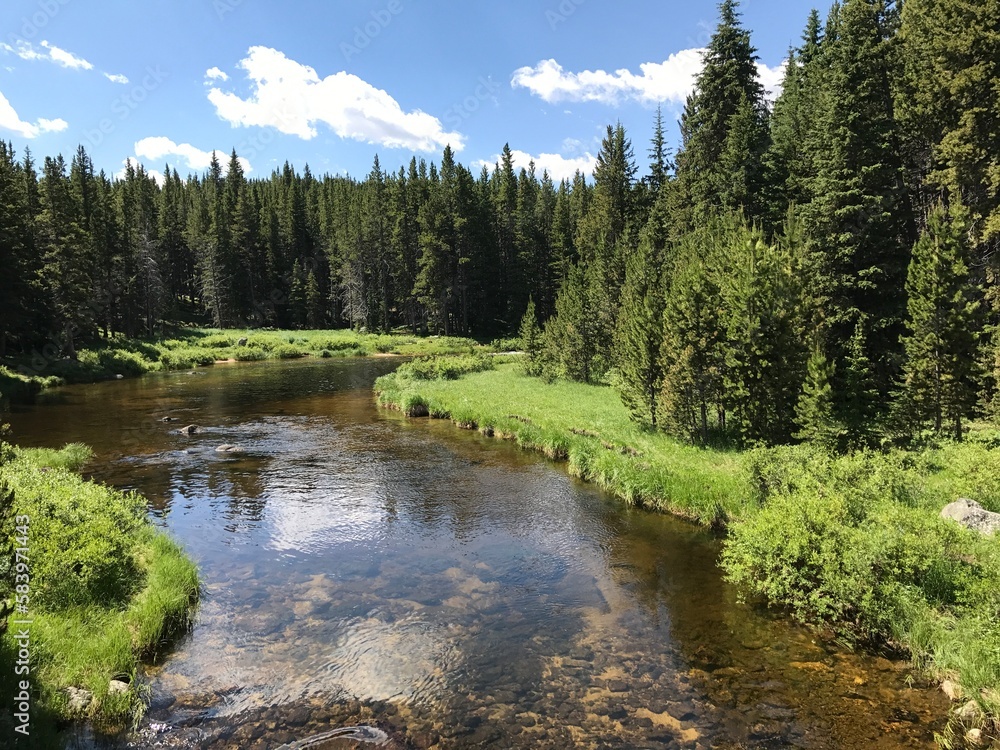 Beautiful river in the forest Beautiful river in the forest
