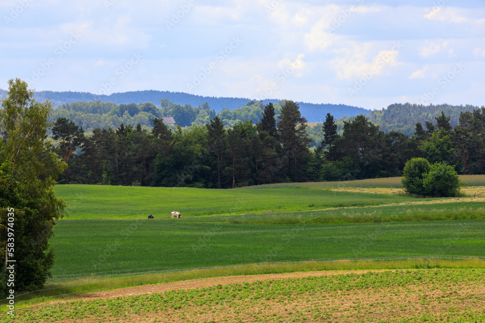 Summer on Kashubia: Beautiful pastoral landscape with green fields in Kaszubski Park Krajobrazowy, Poland