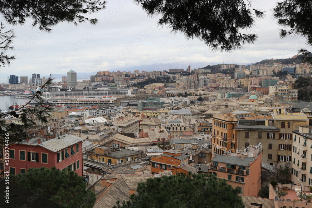 Genova, veduta del porto dalla spianata di Castelletto