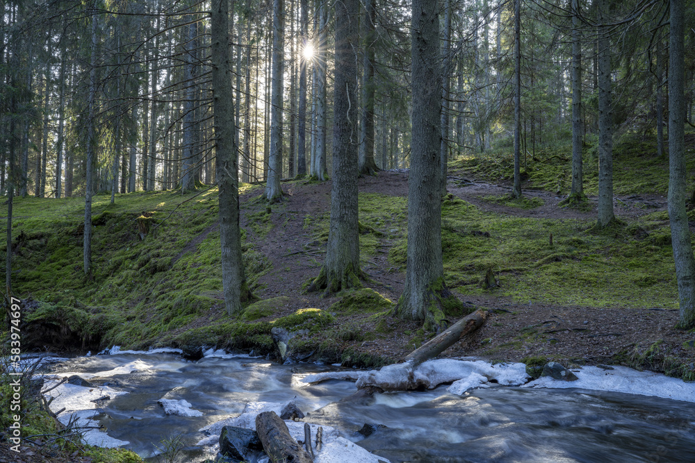 Fototapeta premium Stunning Sunlight in Frozen Hassafallen Waterfall, Wintry Rural Woodlands outside of Jonkoping Sweden And Nearby Taberg Stream. Sweden Rivers And Waterfalls Wintertime in nature reserve.