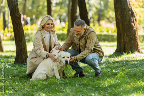 Smiling mature man petting labrador near happy wife on lawn in park.