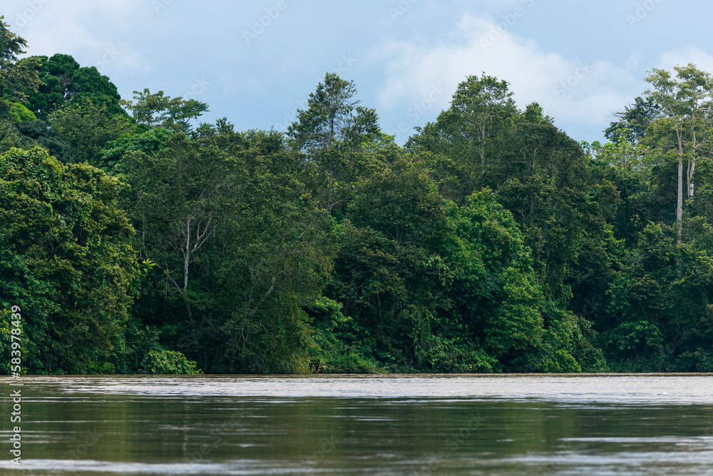 Kinabatangan river in Borneo, Malaysia Kinabatangan river in Borneo, Malaysia