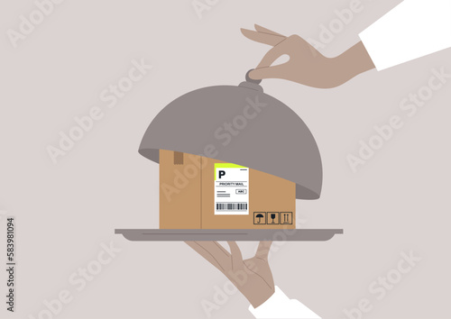 A cardboard box on a tray unveiled by a waiter's hand, as part of a VIP delivery service