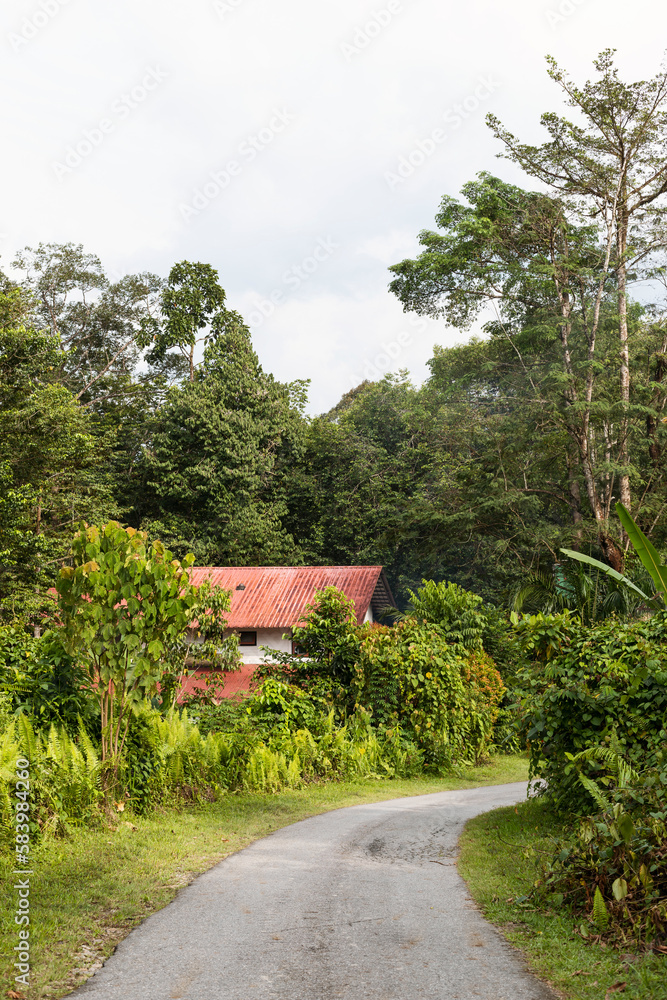 mountain road in the forest in Brunei Darussalam mountain road in the forest in Brunei Darussalam