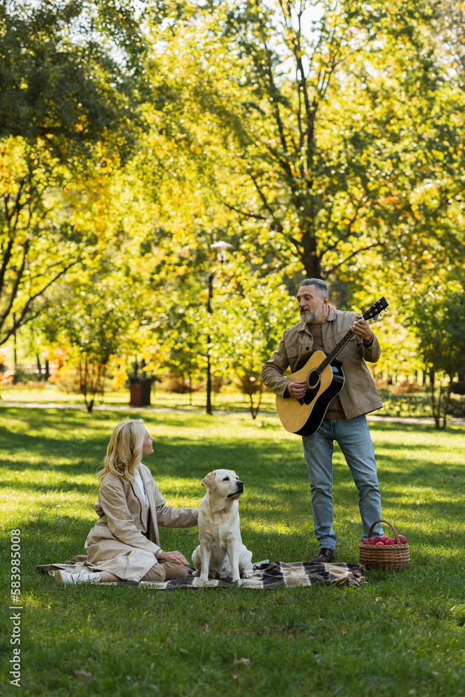 Fototapeta premium bearded middle aged man standing near wife and labrador dog while playing acoustic guitar in park.