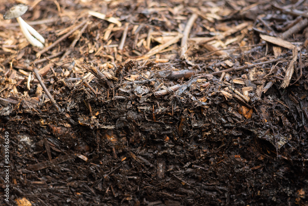 Immature compost managed in a community composter. Concept of recycling and sustainability