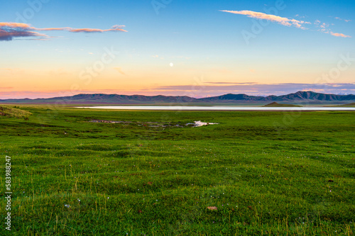 sunset over the field