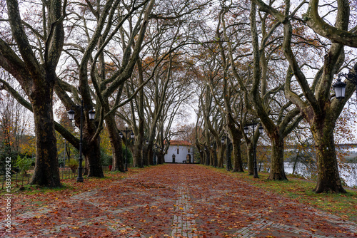 Wallpaper Mural autumn in the park Torontodigital.ca